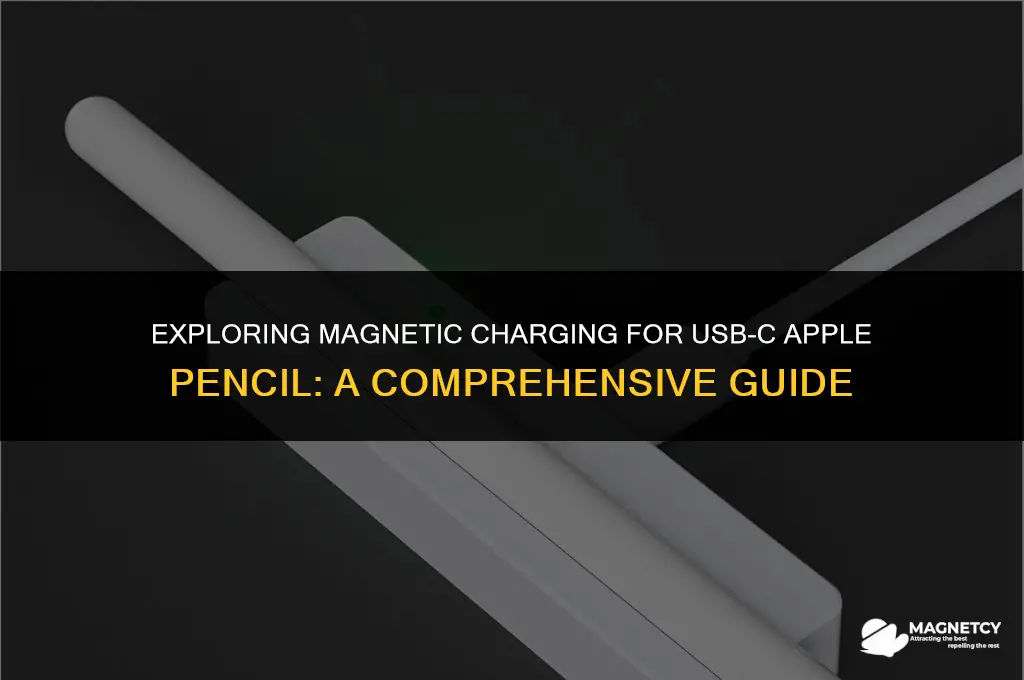 can the usb c apple pencil charge magnetically