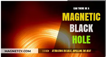 Exploring the Possibility of Magnetic Black Holes: A Cosmic Enigma