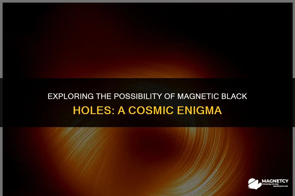 can there be a magnetic black hole
