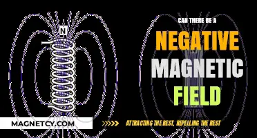 Exploring the Concept of Negative Magnetic Fields: A Deep Dive