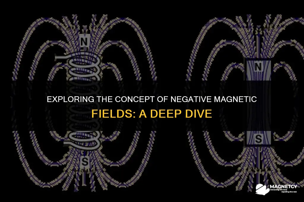can there be a negative magnetic field