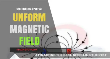 Exploring the Elusive Ideal: Can a Perfect Uniform Magnetic Field Exist?