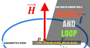 Exploring the Interaction Between Magnets and Loops: Can Current Flow?