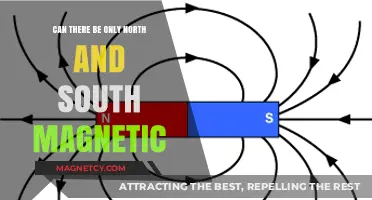 Exploring the Binary Nature of Earth's Magnetic Poles