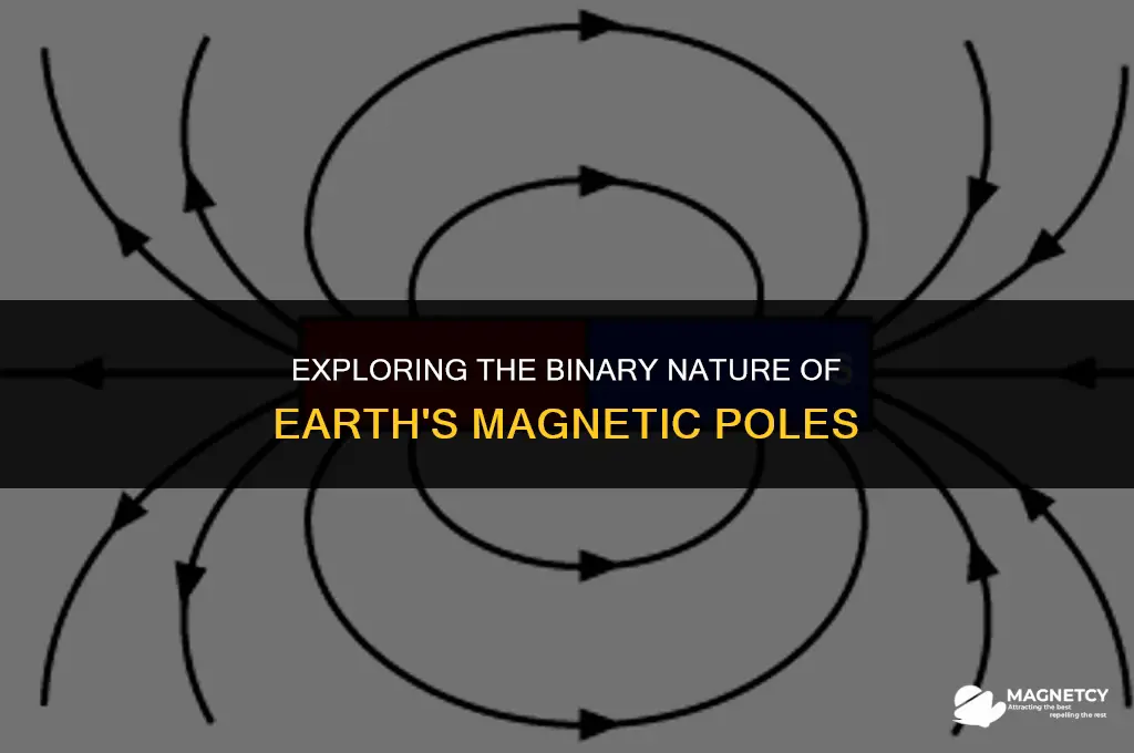can there be only north and south magnetic