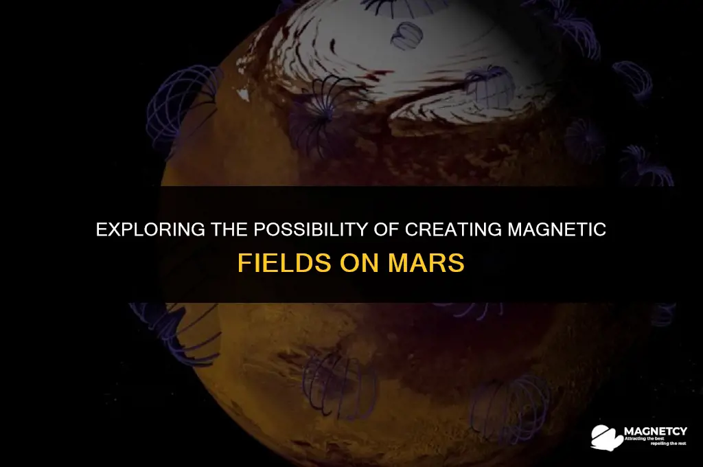 can they make a magnetic field on mars