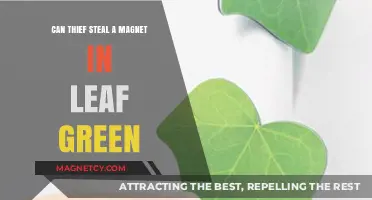 Can Thief Steal a Magnet in Leaf Green? Unraveling the Mystery