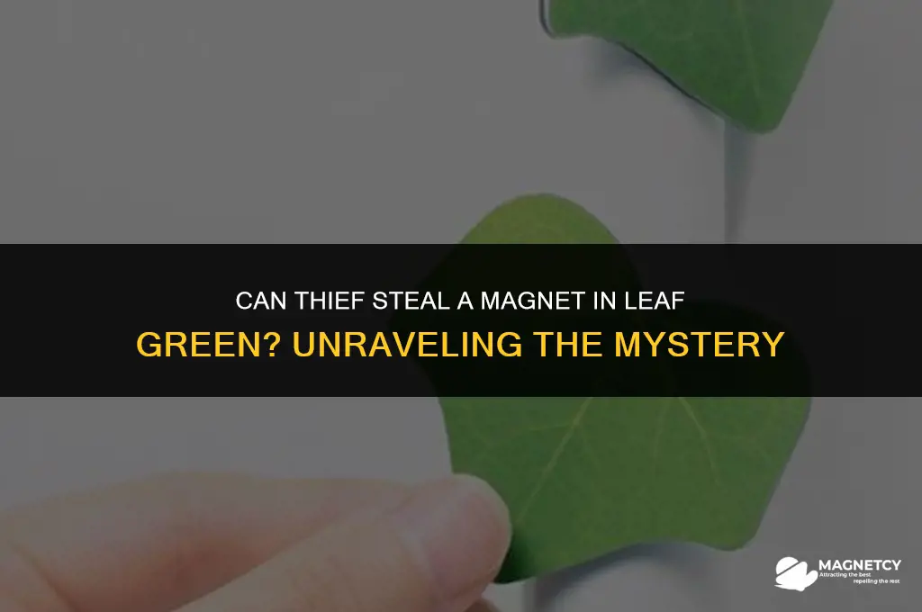 can thief steal a magnet in leaf green