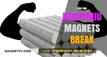 The Strength Test: Can Thin Neodymium Magnets Break Easily?