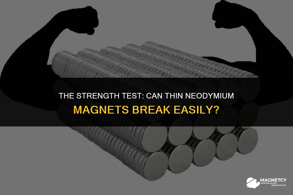 can thin neodymium magnets break