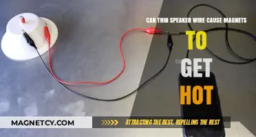 Exploring the Impact of Thin Speaker Wires on Magnet Temperature