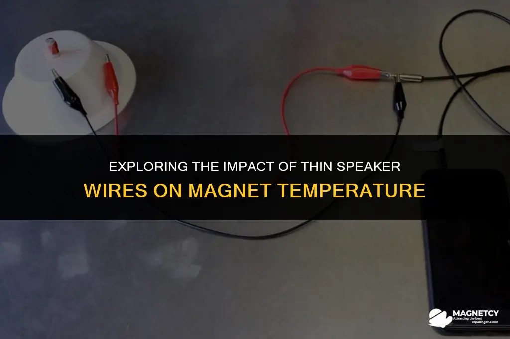 can thin speaker wire cause magnets to get hot
