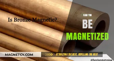 Exploring the Magnetic Properties of Tin: Facts and Applications