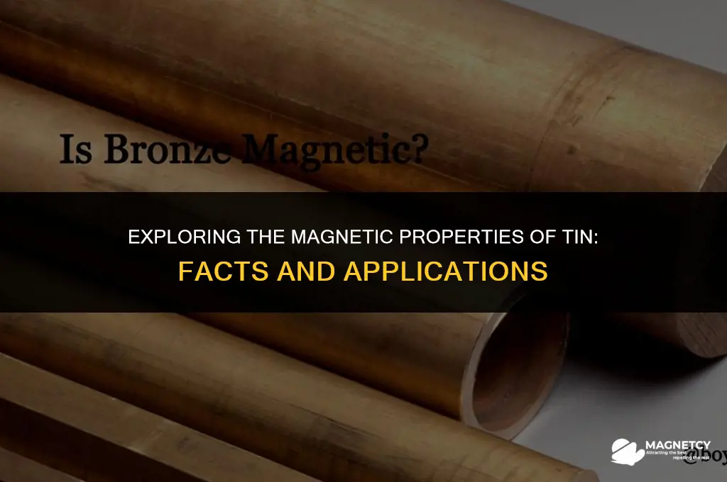 can tin be magnetized