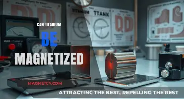 Exploring the Magnetic Properties of Titanium: Facts and Myths