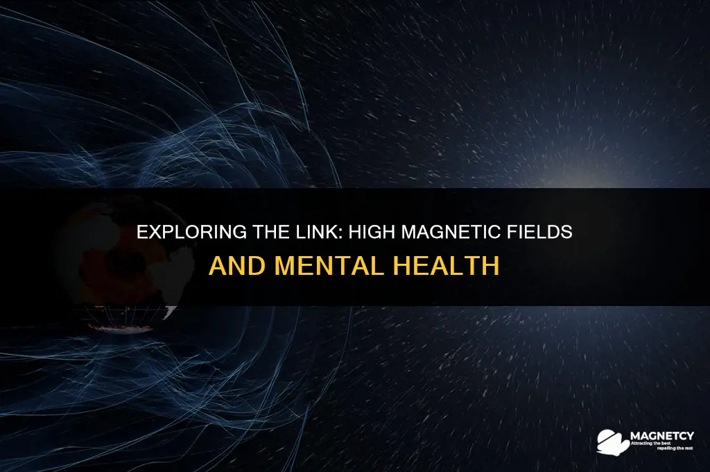 can to high magnetic field cause insanity