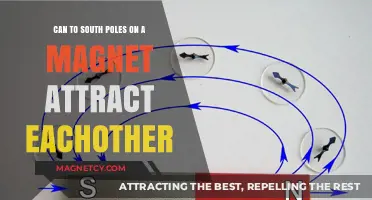 Do South Poles of Magnets Attract? Unraveling Magnetic Mysteries