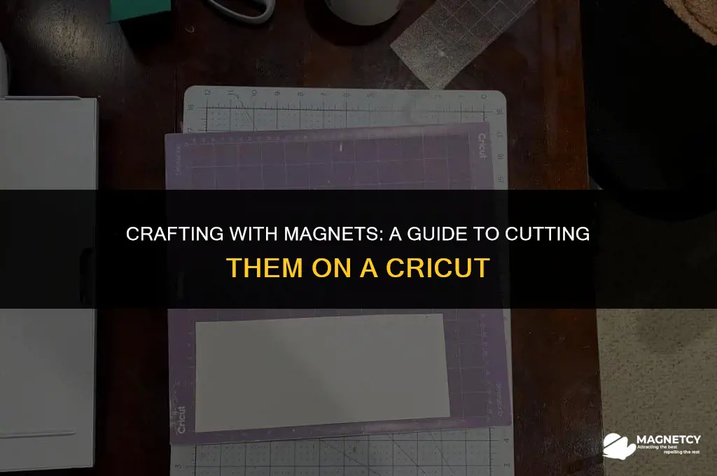 can tou cut magnets on a cricut