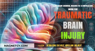 Exploring the Potential of TMS in Treating Traumatic Brain Injuries