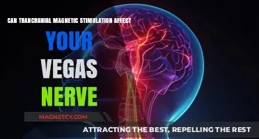 Exploring TMS Effects: Can It Impact Your Vagus Nerve?