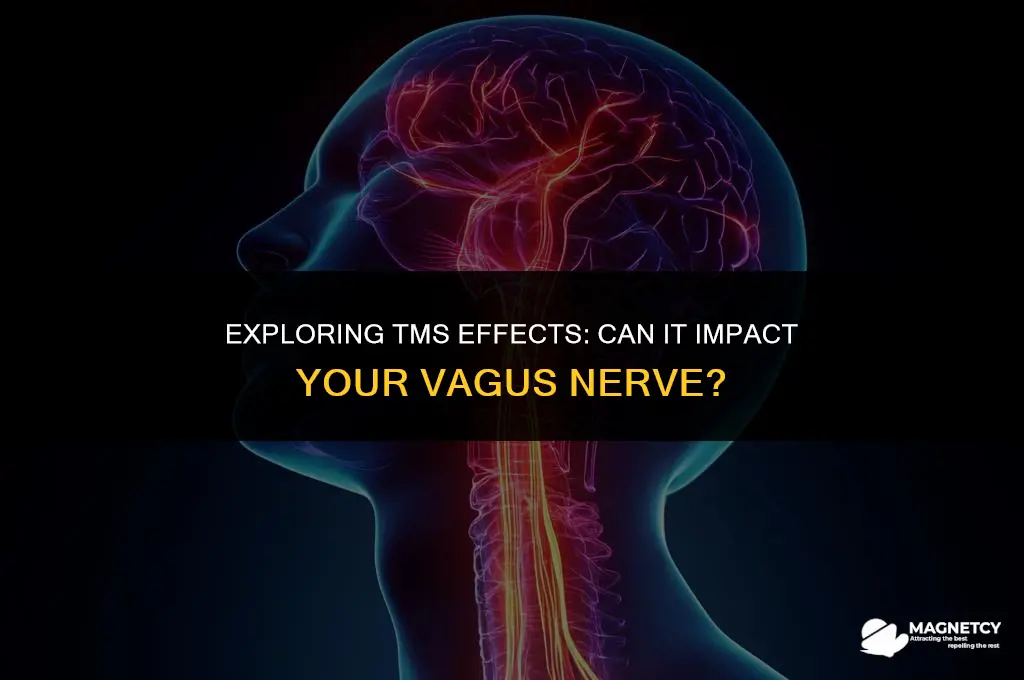 can trancranial magnetic stimulation affect your vegas nerve