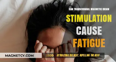 Exploring the Link Between TMS and Fatigue: A Comprehensive Review