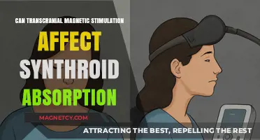 Exploring the Impact of TMS on Synthroid Absorption: A Comprehensive Guide