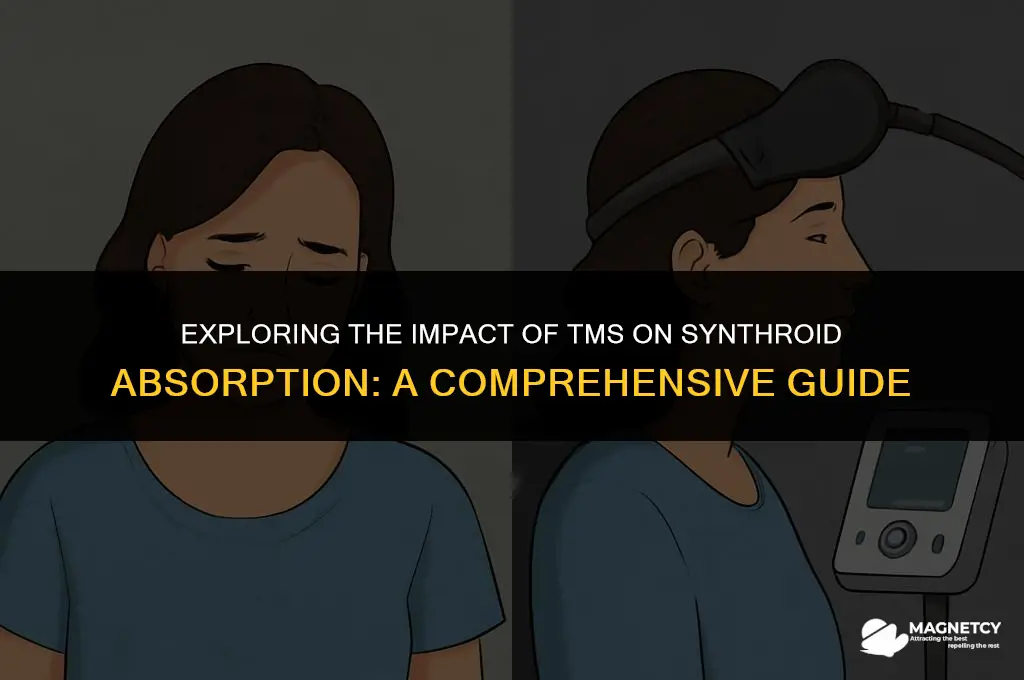 can transcranial magnetic stimulation affect synthroid absorption