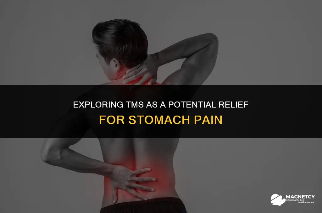 can transcranial magnetic stimulation help stomach pain