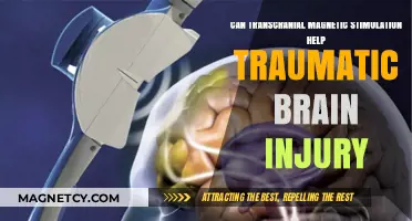 Exploring TMS as a Potential Treatment for Traumatic Brain Injury