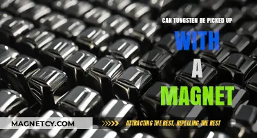 Exploring Tungsten's Magnetic Properties: Can It Be Picked Up?