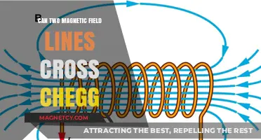 Exploring the Intersection of Magnetic Field Lines: A Chegg Study Guide