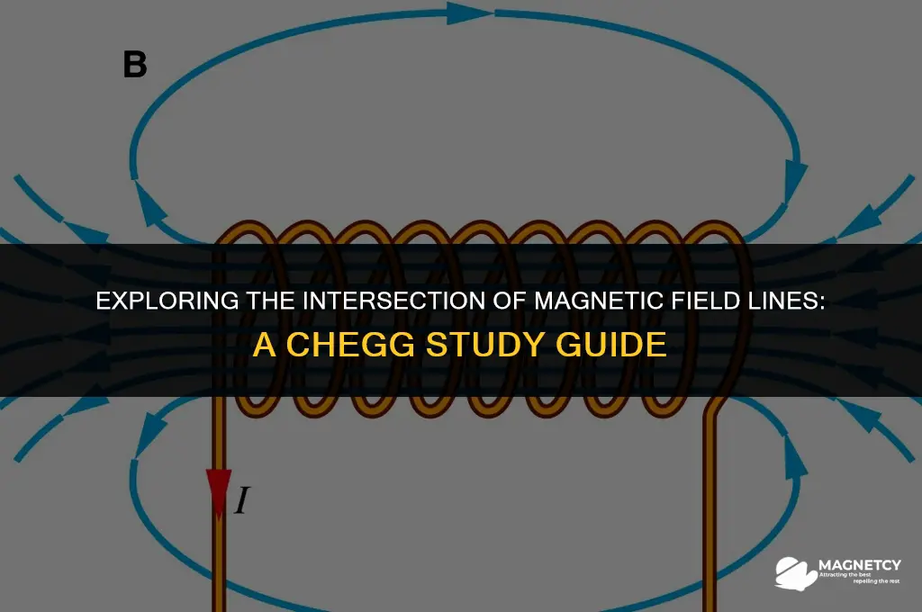 can two magnetic field lines cross chegg