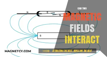 Exploring the Intricacies of Magnetic Field Interactions