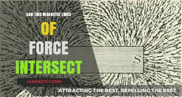 Exploring the Intersection of Magnetic Field Lines