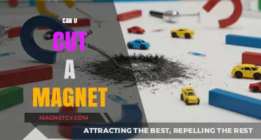 Exploring the Possibilities: Can You Really Cut a Magnet?
