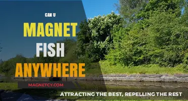 Exploring the Possibilities: Can You Magnet Fish Anywhere?