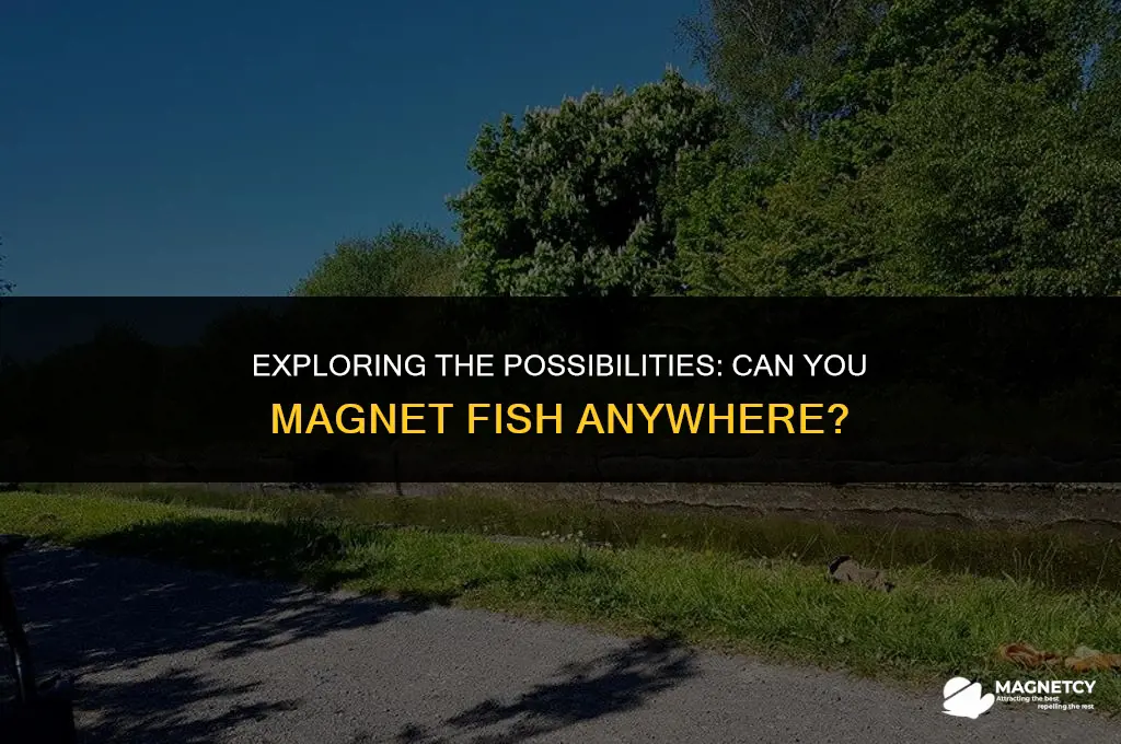 can u magnet fish anywhere