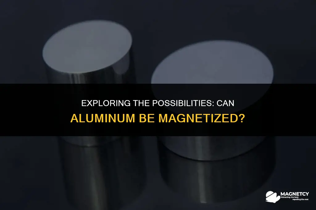 can u magnetize aluminium