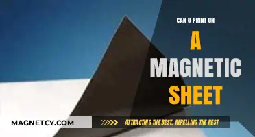 Exploring the Possibilities: Printing on Magnetic Sheets