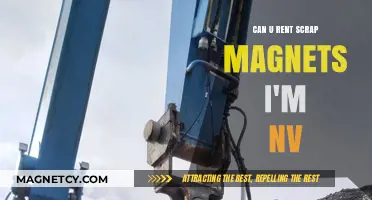 Exploring Scrap Magnet Rentals in Nevada: A Comprehensive Guide