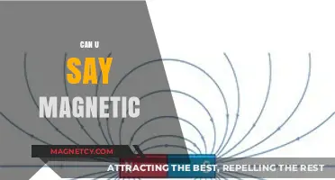 Exploring the Fascinating World of Magnetic Phenomena