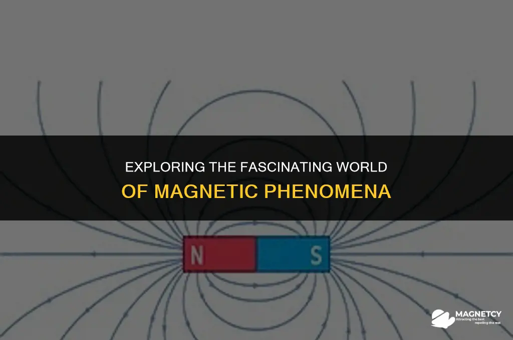 can u say magnetic