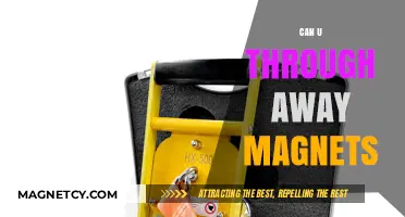 Demystifying Magnet Disposal: Safe Practices for Handling Magnetic Materials