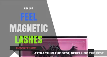 Exploring the Sensation: Can You Feel Magnetic Lashes?