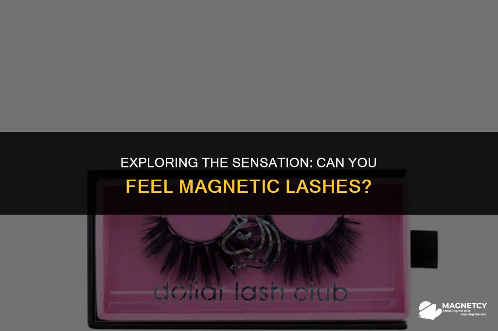 can uou feel magnetic lashes