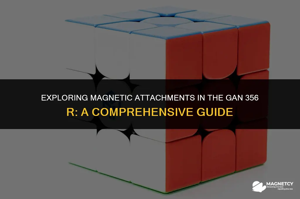 can uou put magnets in gan 356 r