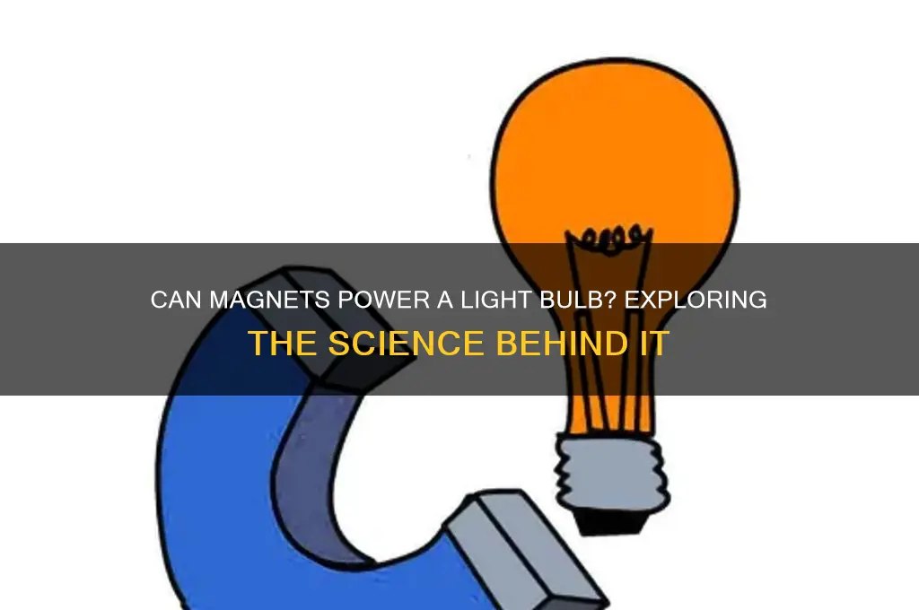can use ise magnets to light a bulb