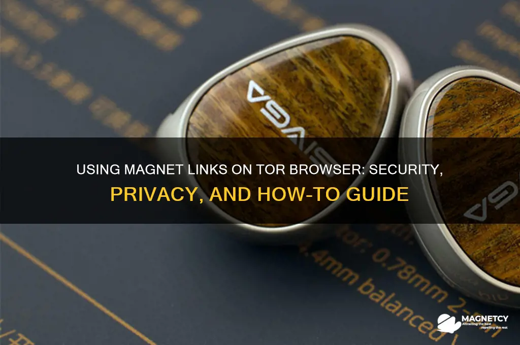 can use magnet links on torbrowser