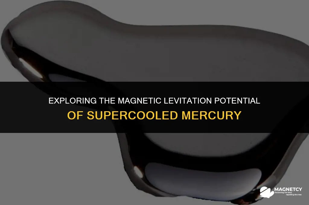 can very cold mercury make something float with magnets